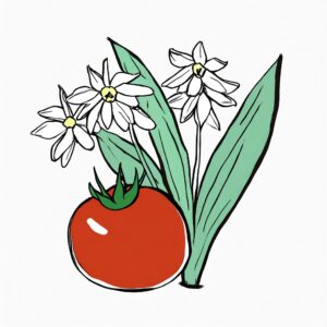 Firefly Bärlauch und Tomate 88134