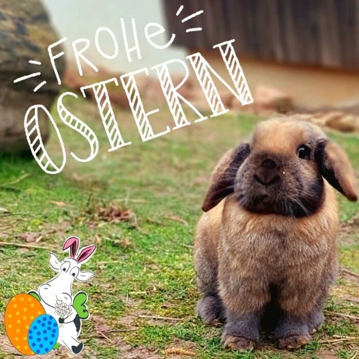 #froheostern 🐥
Wünschen wir euch vom Engelshof!

Unser Laden ist heute und morgen natürlich für euch geöffnet...

Habt ein paar schöne ostertage💚