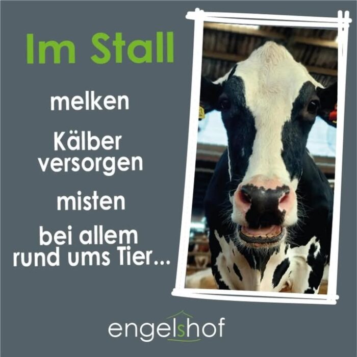 Lust auf einem Bauernhof zu arbeiten?
Auf dem engelshof bieten wir dir eine abwechslungsreiche, sinnvolle Tätigkeit mit geregelten Arbeitszeiten, einem fairen Gehalt, in einem jungen Team an. 
Dieses Jahr beginnen wir mit einem Neubau und Umbau unserer Ställe und Melktechnik. Wir möchten damit eine Arbeisstelle schaffen, die für Mensch und Tier beste Bedingungen bietet. Und bei der eine moderne, innovative Landwirtschaft besteht, mit tollen Aufgaben und Entwicklungsmöglichkeiten.
Wenn du also Lust hast Teil von unserem Hof und unserem Team zu werden, schreib uns an. Egal ob eine Nachricht auf unseren social Media Kanälen, WhatsApp oder per Email. Ob Quereinsteiger oder vom Fach, Hauptsache du hast Lust auf eine tolle, neue Herausforderung. Wir freuen uns auf deine Nachricht. Euer Team vom Engelshof.

PS: kommentiert, liked, teilt den Beitrag fleissig, damit er ordentlich rum kommt. Danke!

#job #jobangebot #Stellenanzeige #arbeitenaufdembauernhof